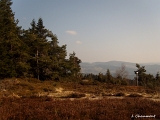 Vue depuis le sommet de Chèvre-Roche en direction du Haut du Roc